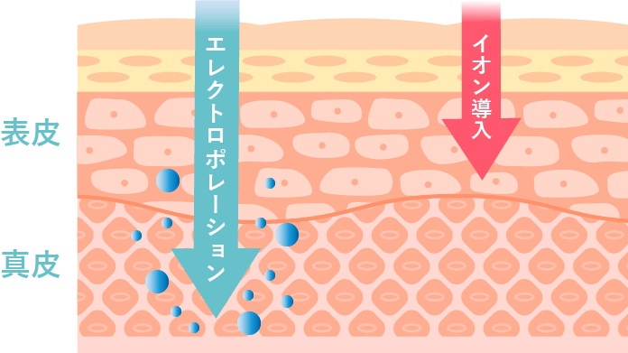 エレクトロポレーション