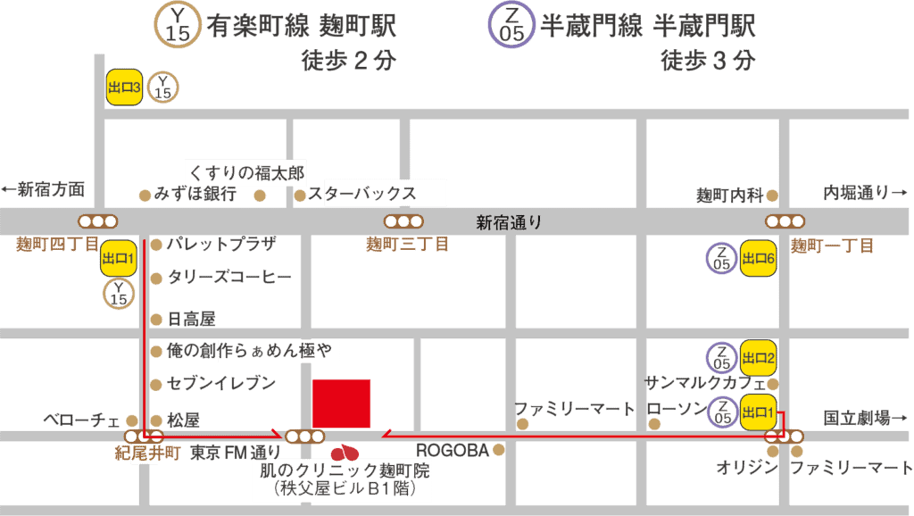Skin Clinic Kojimachi-in Access Map