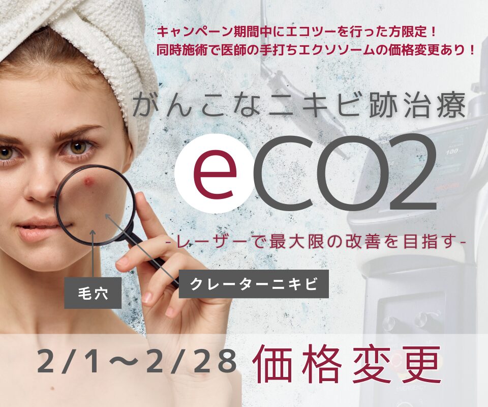 エコツー、エクソソーム手打ちの期間限定料金変更のお知らせ