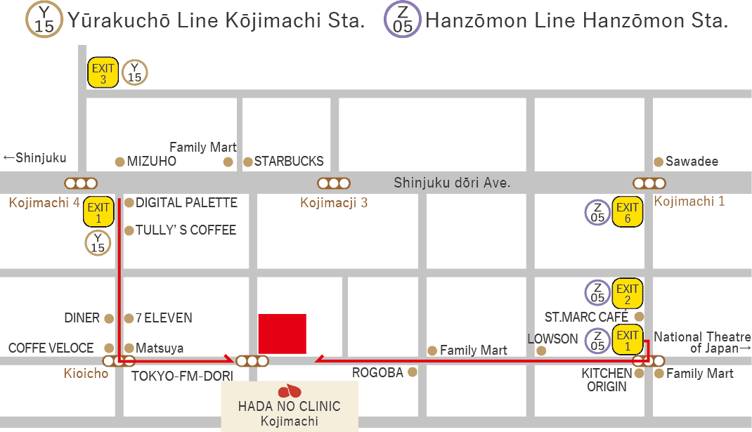 Hada no clinic Kojimachi Map